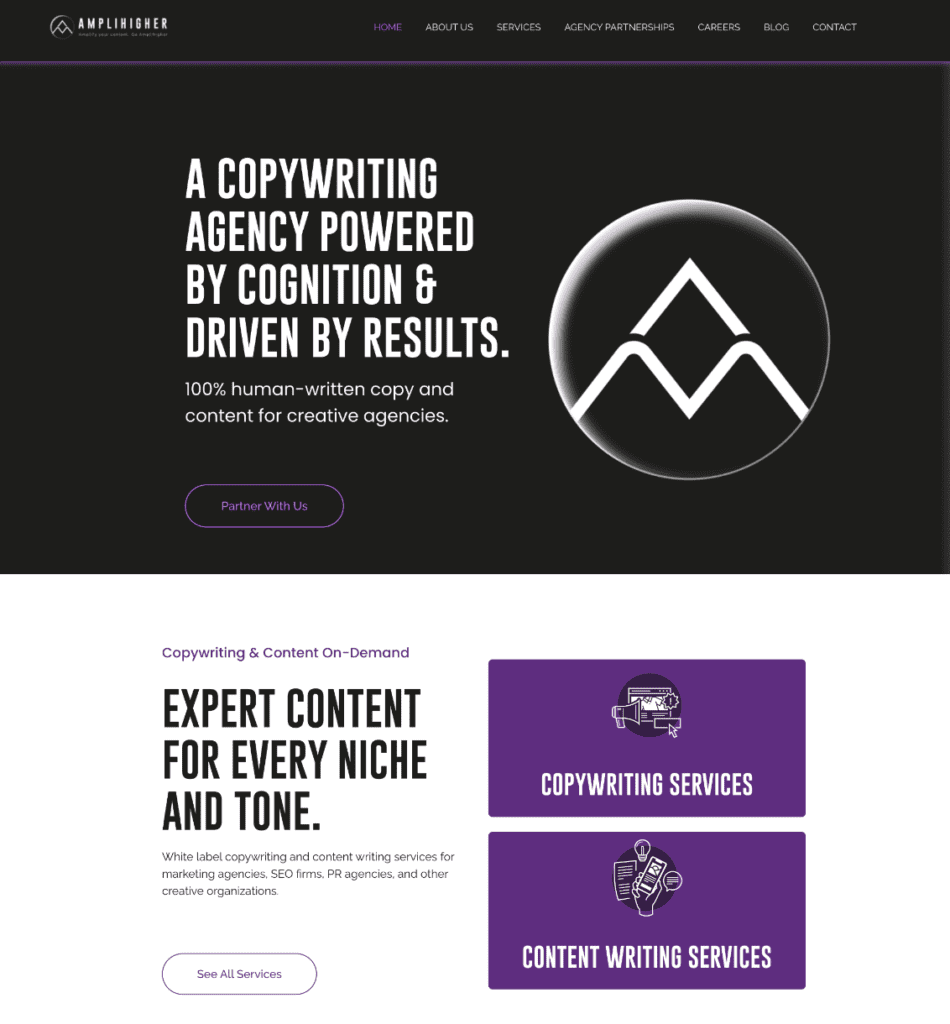 Amplihigher Website Screenshot